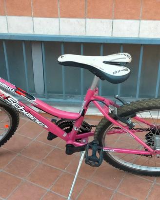 Montain bike n.24 della schiano per ragazza