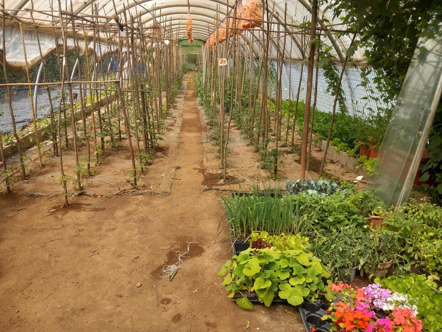 Agriturismo e Fattoria Didattica - Altro