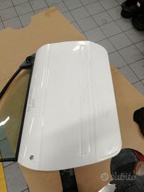 sportello dx microcar 2014 