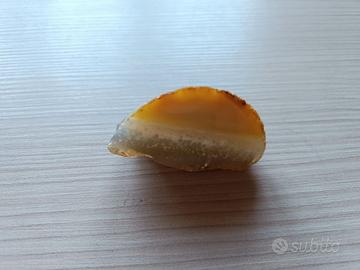 Sezione di Agata Minerale