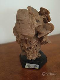 Rosa del deserto