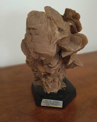 Rosa del deserto