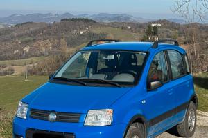 Fiat Panda 4x4 climbing 1.2 benzina