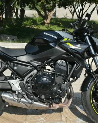 Kawasaki Z650 2024 