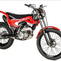 Montesa 4ride 2024