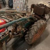 Goldoni scava patate