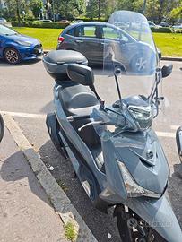 Sym HD 300