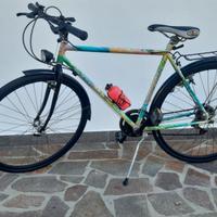 Bicicletta city biche