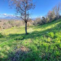 TER. AGRICOLO A COLONNA