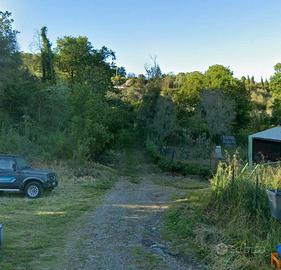 terreno agric. composto da due lotti tot.5000 mq