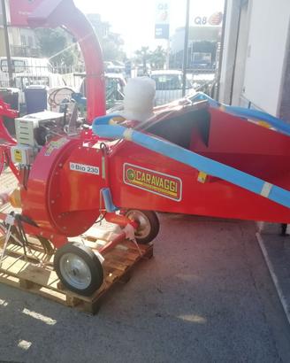 Biotrituratore Caravaggi modello BIO 230 T