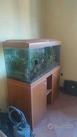 Acquario son supporto usato 