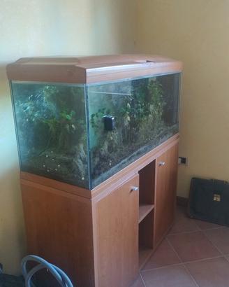 Acquario son supporto usato 