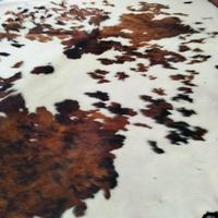 tappeto in pelle di mucca