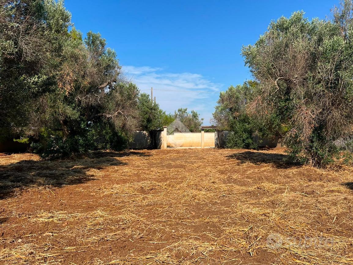 TER. RESIDENZIALE A CAROVIGNO - Altro