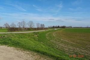 RGE 407/2023 Trib Pavia - LOTTO 2