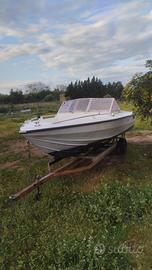 Cicala e e bertinetti