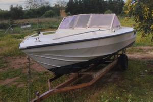 Cicala e e bertinetti