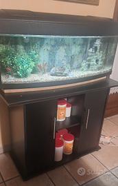 Acquario 