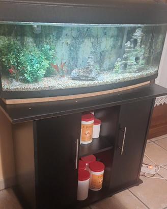 Acquario 