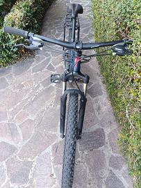 MTB Specialized Pitch