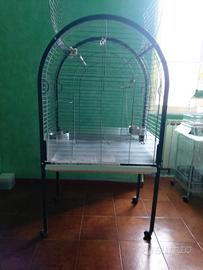 Grande gabbia per grandi pappagalli