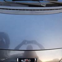 PEUGEOT 1007 ANNO 2005 - COFANO ANTERIORE