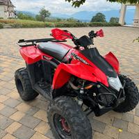 Polaris Scrambler 500 4x4 - 2010