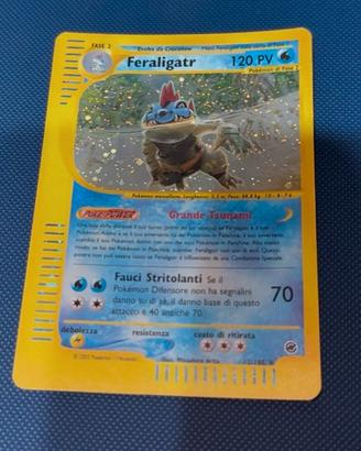 Carte Pokemon Pokémon Feraligatr e Tyranitar