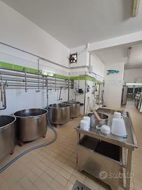 Attività casearia con attrezzatura