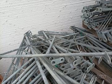 Testate oscillanti Valente impianto vigneto