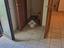 Immagine 27