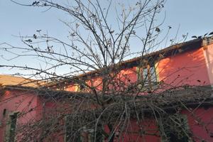 RGE 369/2024 Trib Pavia