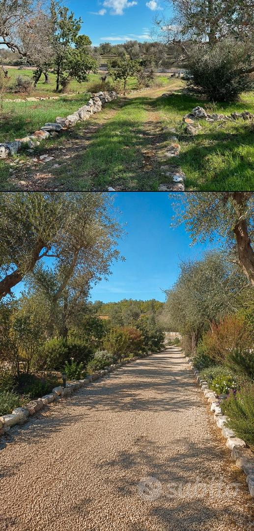 Tenuta con Trulli e lamia, 3 lotti indipendenti - Altro