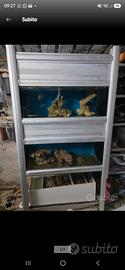 Acquario