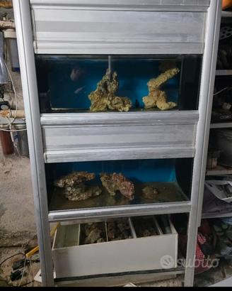 Acquario