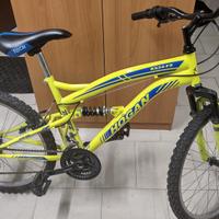 MOUNTAIN BIKE 24''