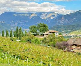 SASSO: TERRENO EDIFICABILE !