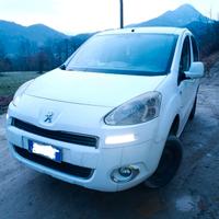 PEUGEOT PARTNER 4X4 DANGEL