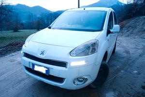PEUGEOT PARTNER 4X4 DANGEL