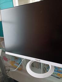 Monitor ASUS 27 pollici bianco + soundbar