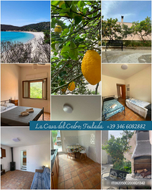 Teulada la casa del cedro