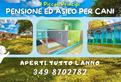 Pensione ed asilo per cani