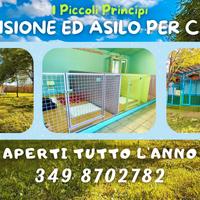 Pensione ed asilo per cani