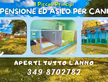 Pensione ed asilo per cani