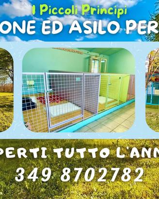 Pensione ed asilo per cani