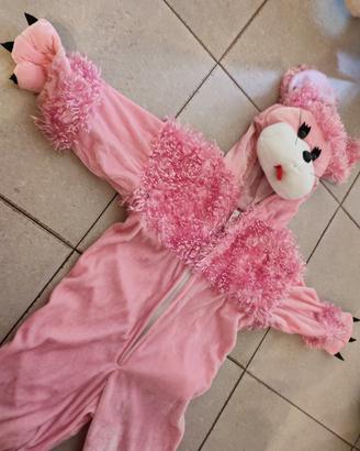 Vestito carnevale bambina/o