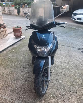 Beverly 250 rst