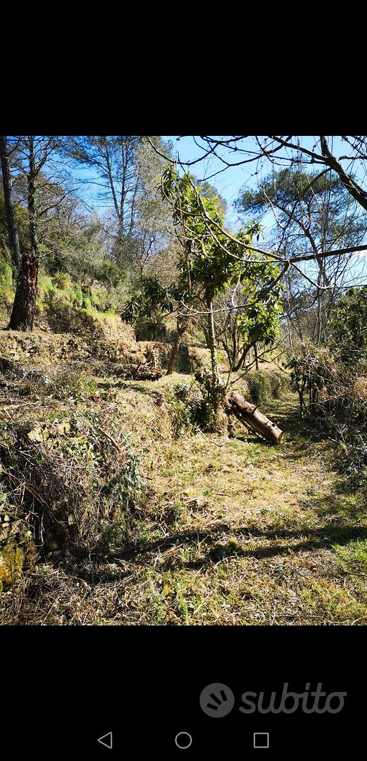 terreno agricolo biologico - Vista 5