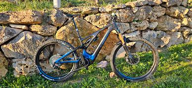 E-mtb turbo levo s-works 540km